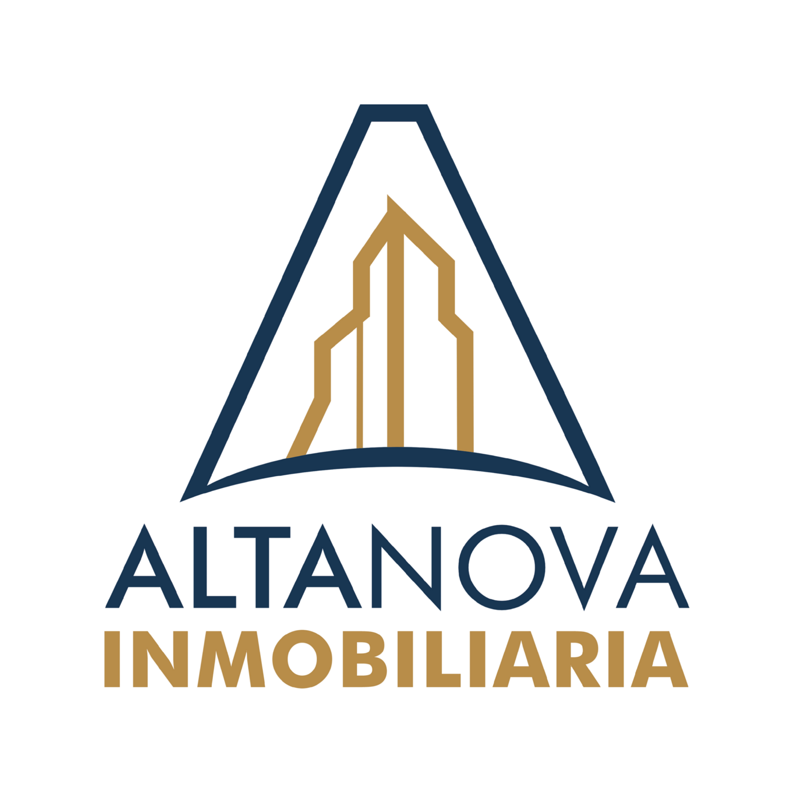 Altanova_logo